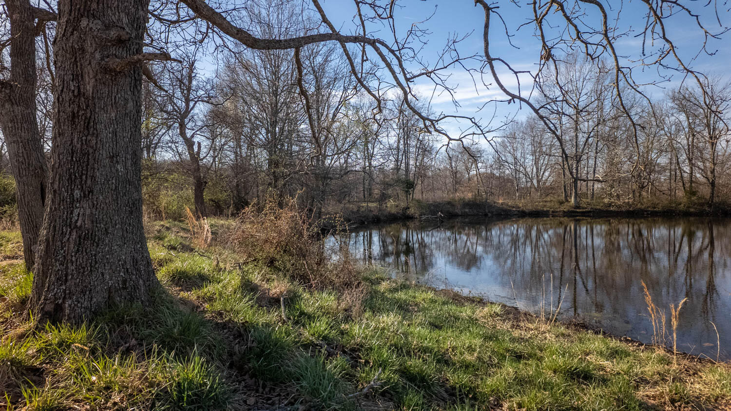 3936 County Road 385 Property Photo 18