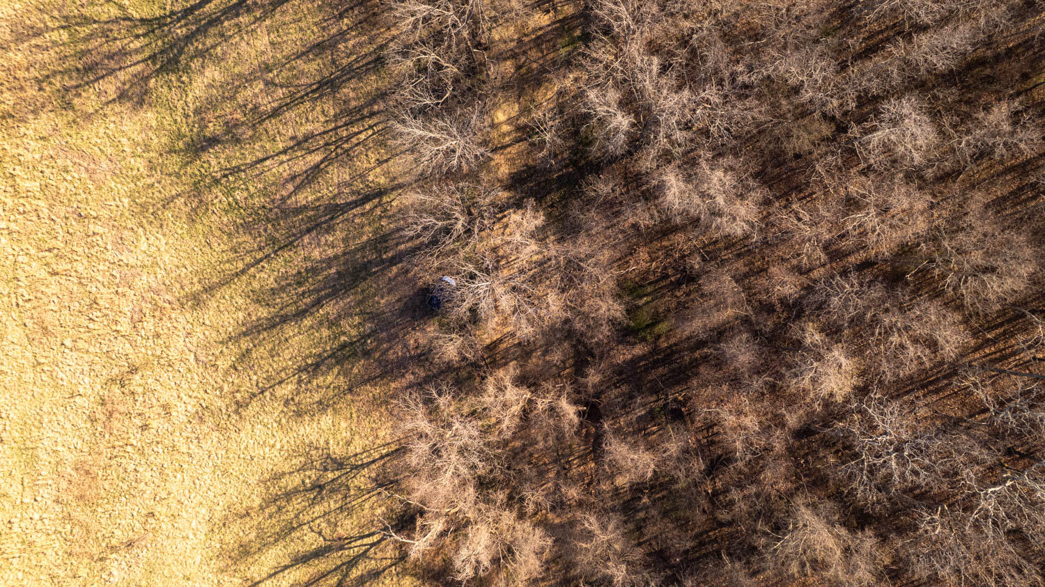 3936 County Road 385 Property Photo 23