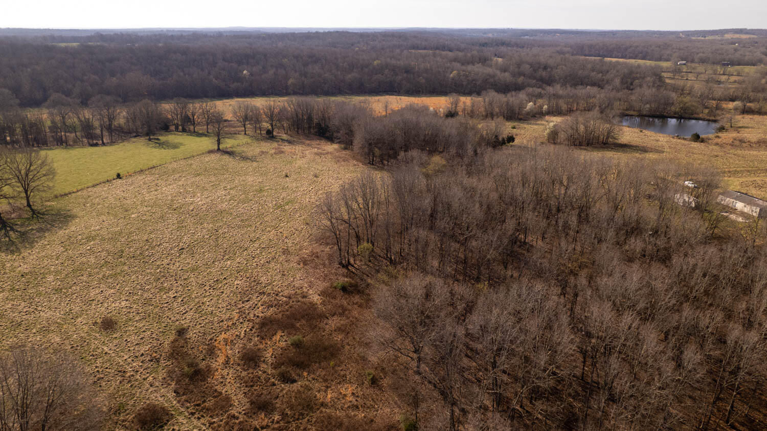 3936 County Road 385 Property Photo 25