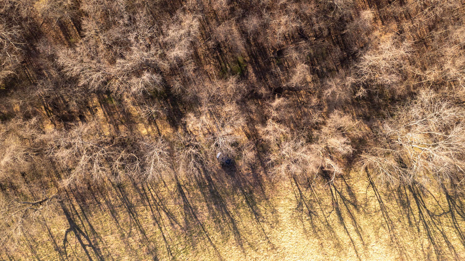 3936 County Road 385 Property Photo 41