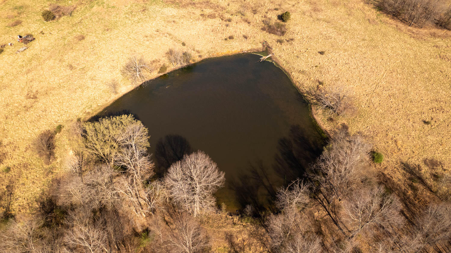 3936 County Road 385 Property Photo 48