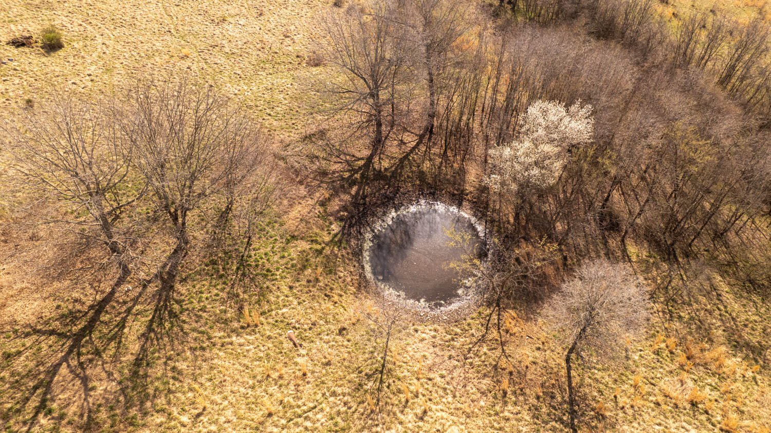 3936 County Road 385 Property Photo 52