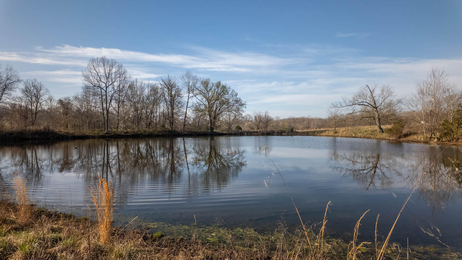 3936 County Road 385 Property Photo 78