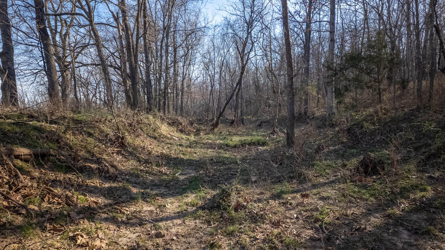 3936 County Road 385 Property Photo 79