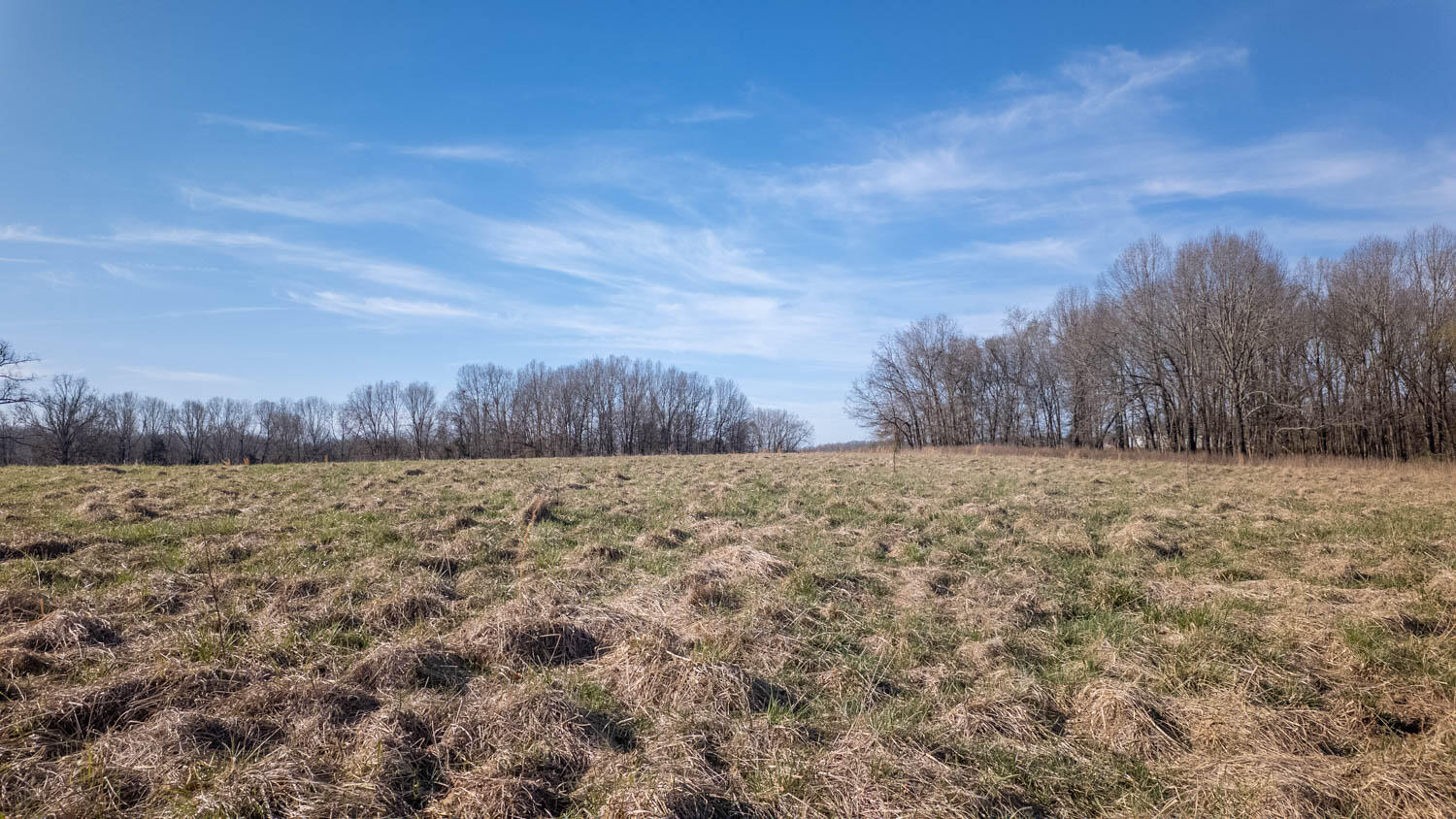 3936 County Road 385 Property Photo 80