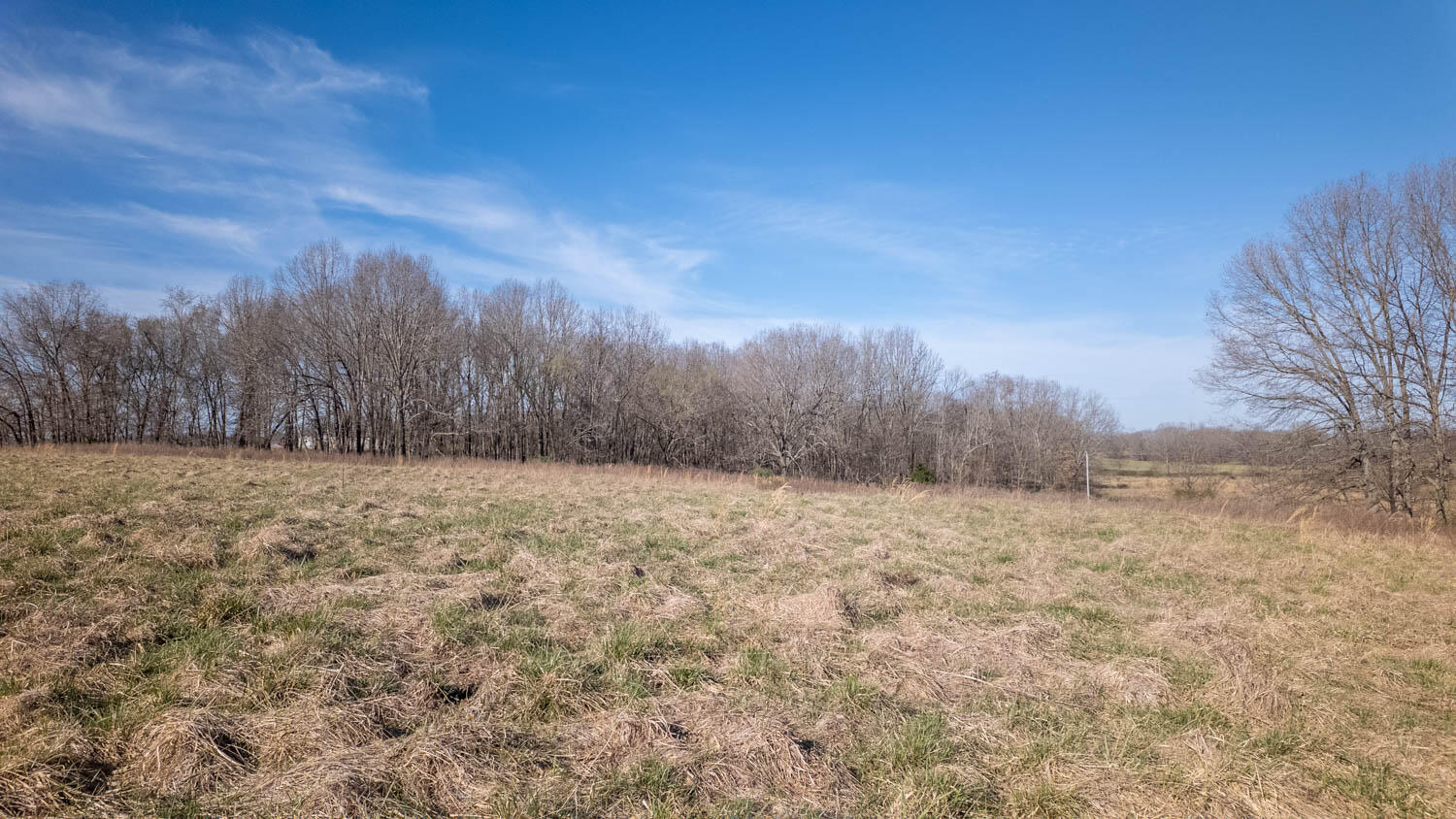 3936 County Road 385 Property Photo 81