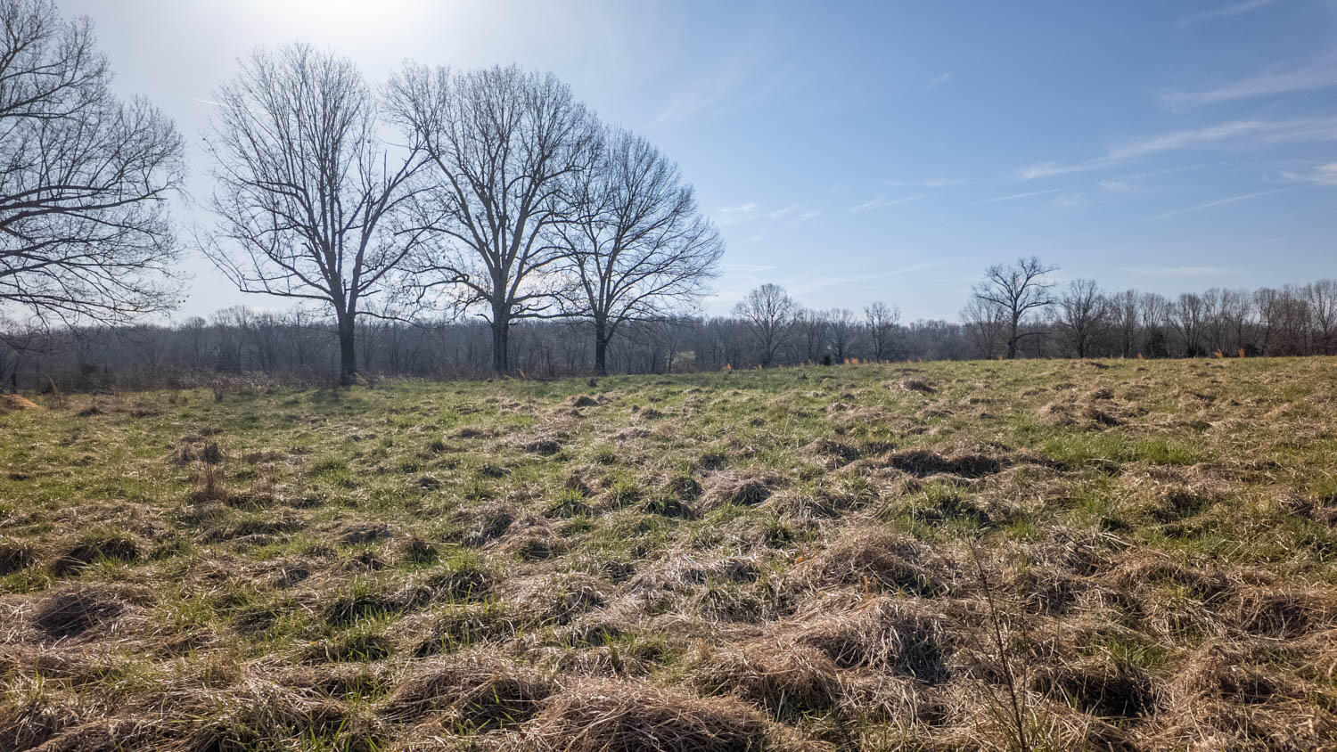 3936 County Road 385 Property Photo 82