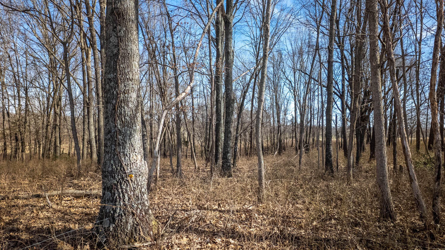 3936 County Road 385 Property Photo 110