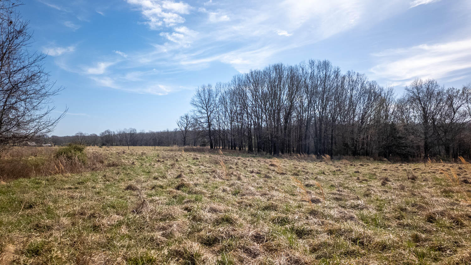 3936 County Road 385 Property Photo 111