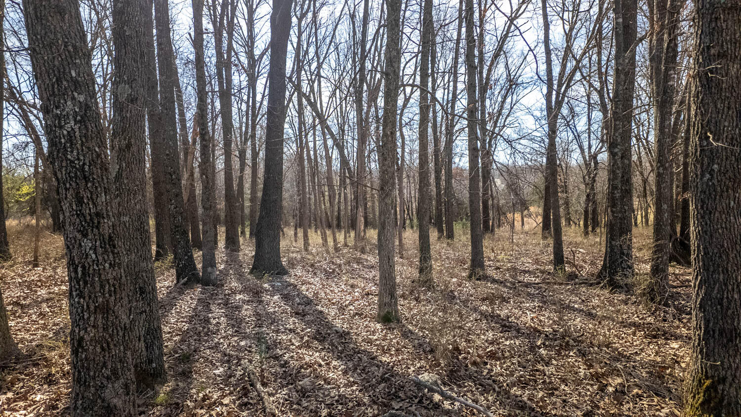 3936 County Road 385 Property Photo 112