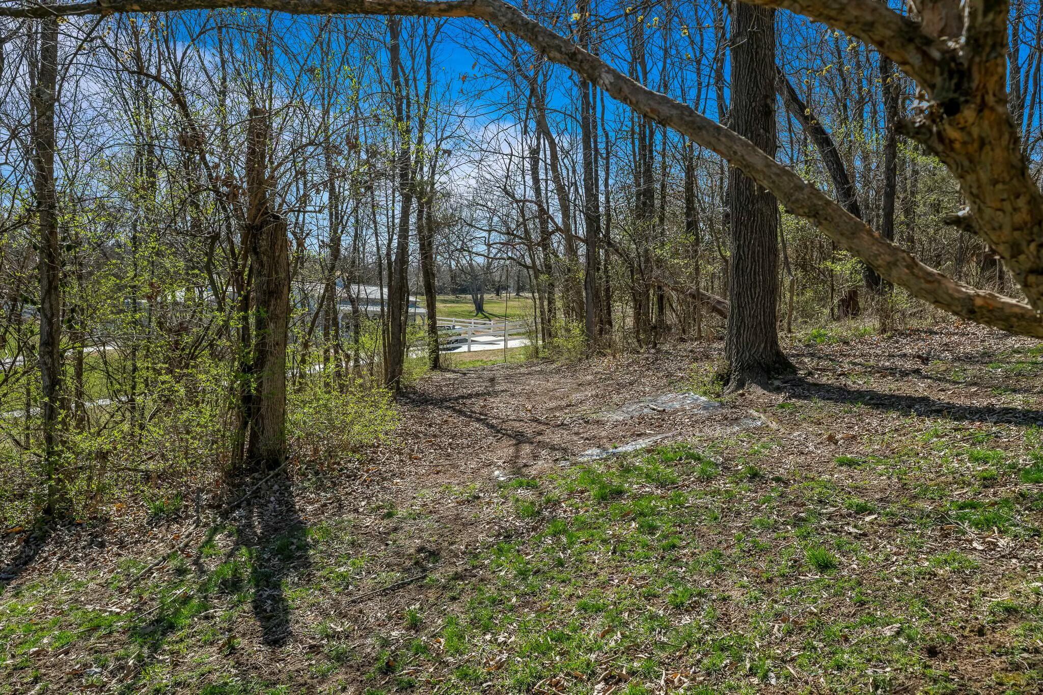 5547 South Farm Road 137 Property Photo 57