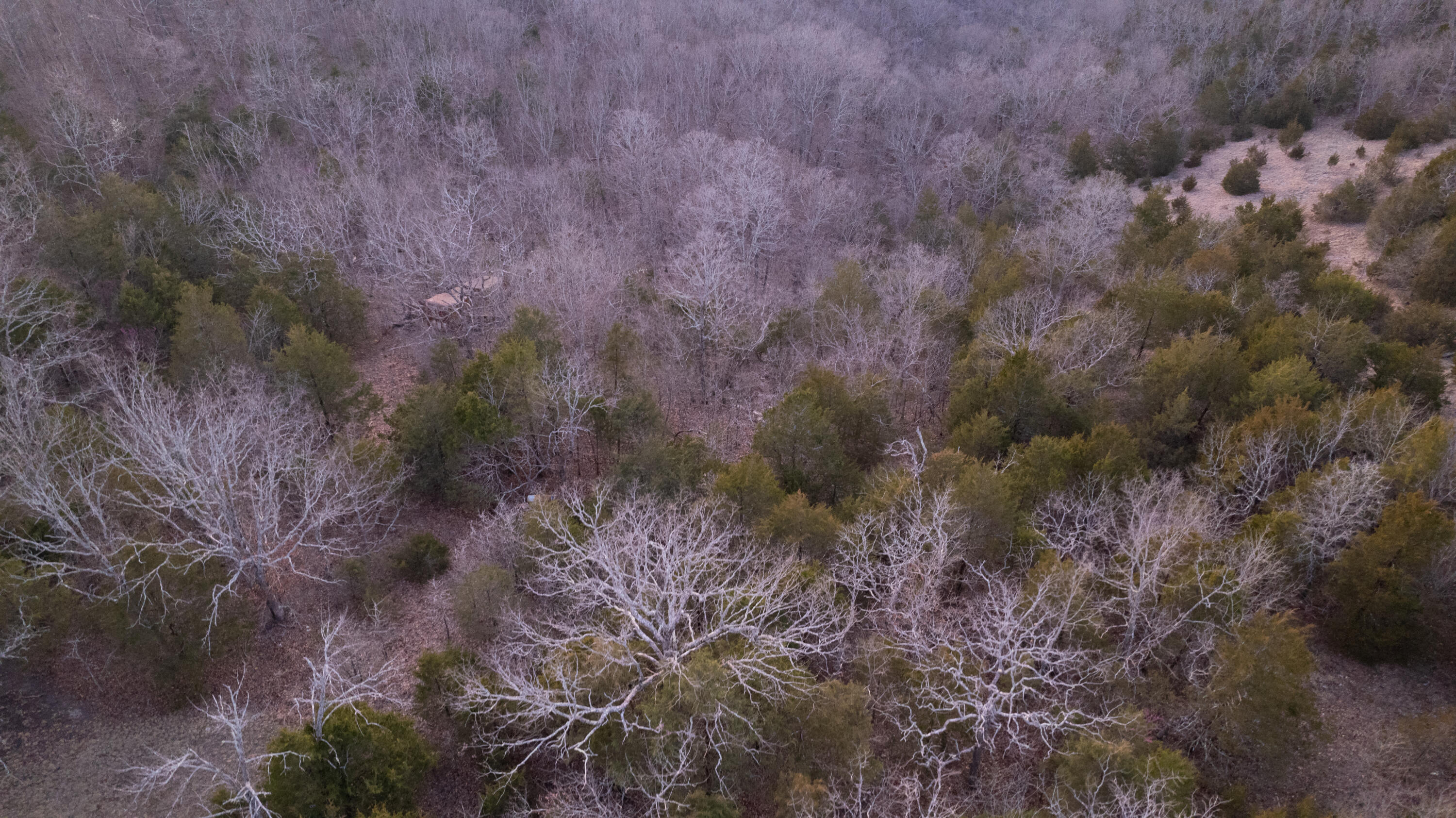 Tract 4 Highway B Property Photo 13