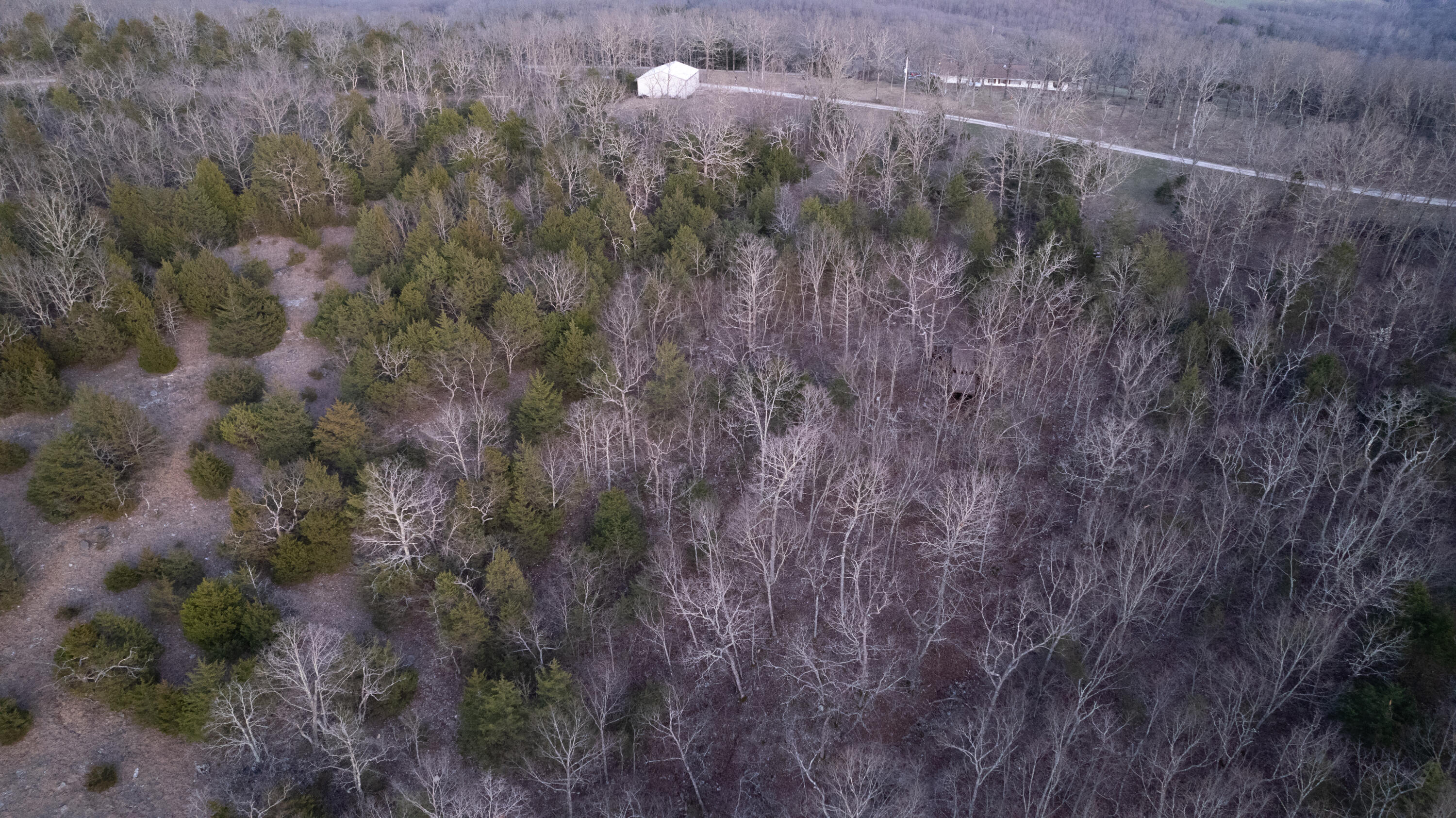 Tract 4 Highway B Property Photo 15