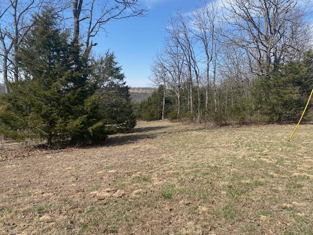 Tract 4 Highway B Property Photo 19
