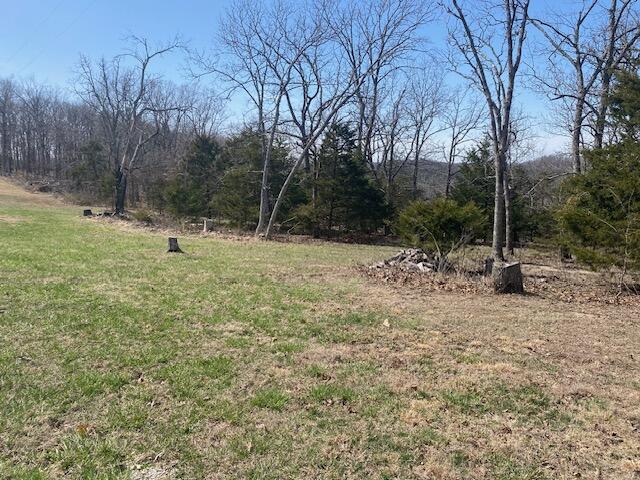 Tract 4 Highway B Property Photo 20