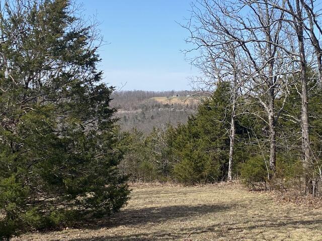 Tract 4 Highway B Property Photo 24