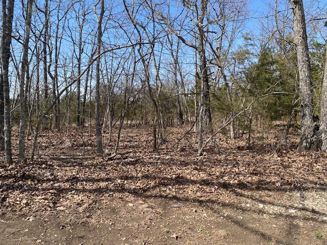 Tract 4 Highway B Property Photo 25