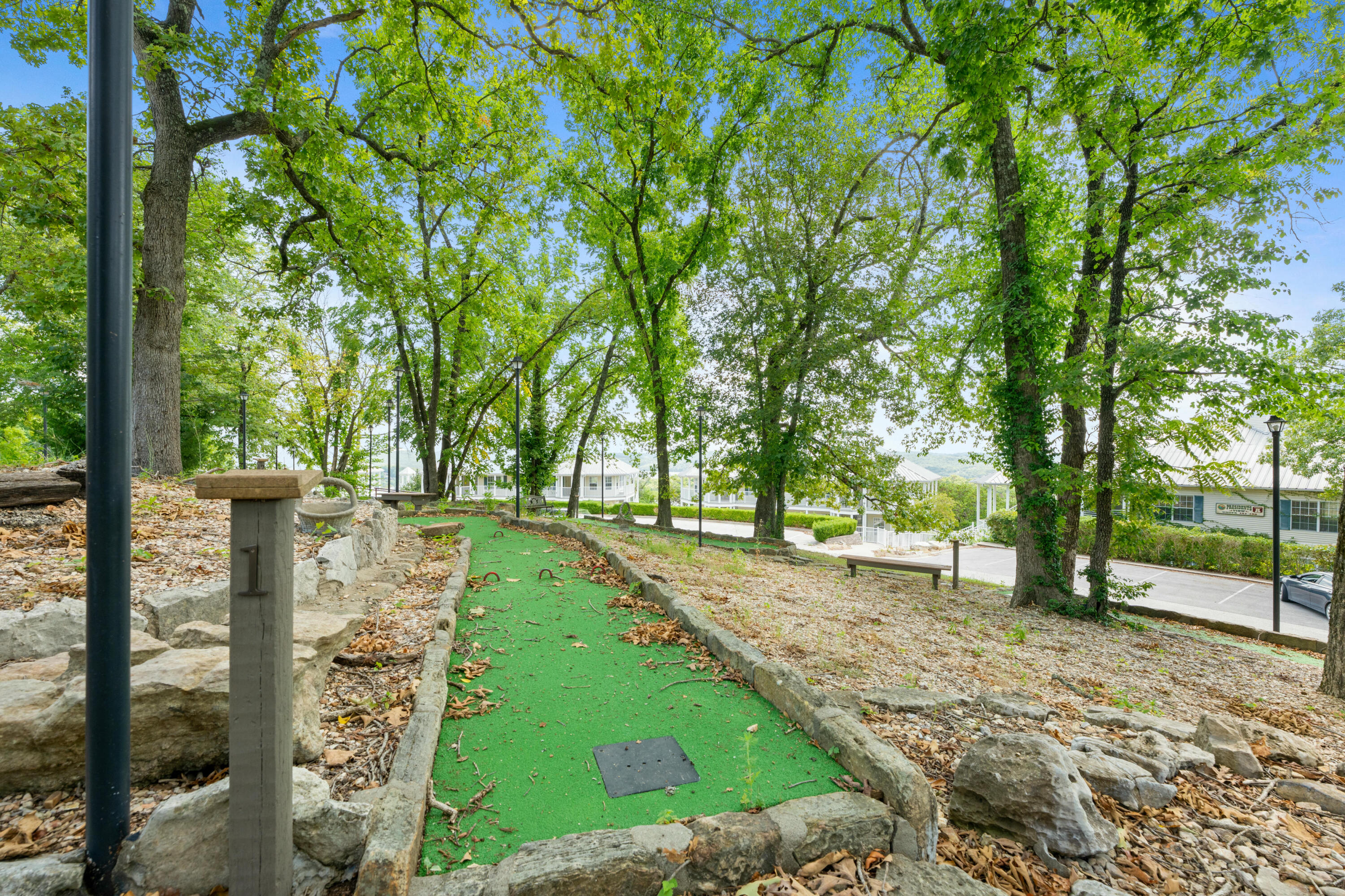 235 Ozark Mountain Resort Drive Property Photo 46