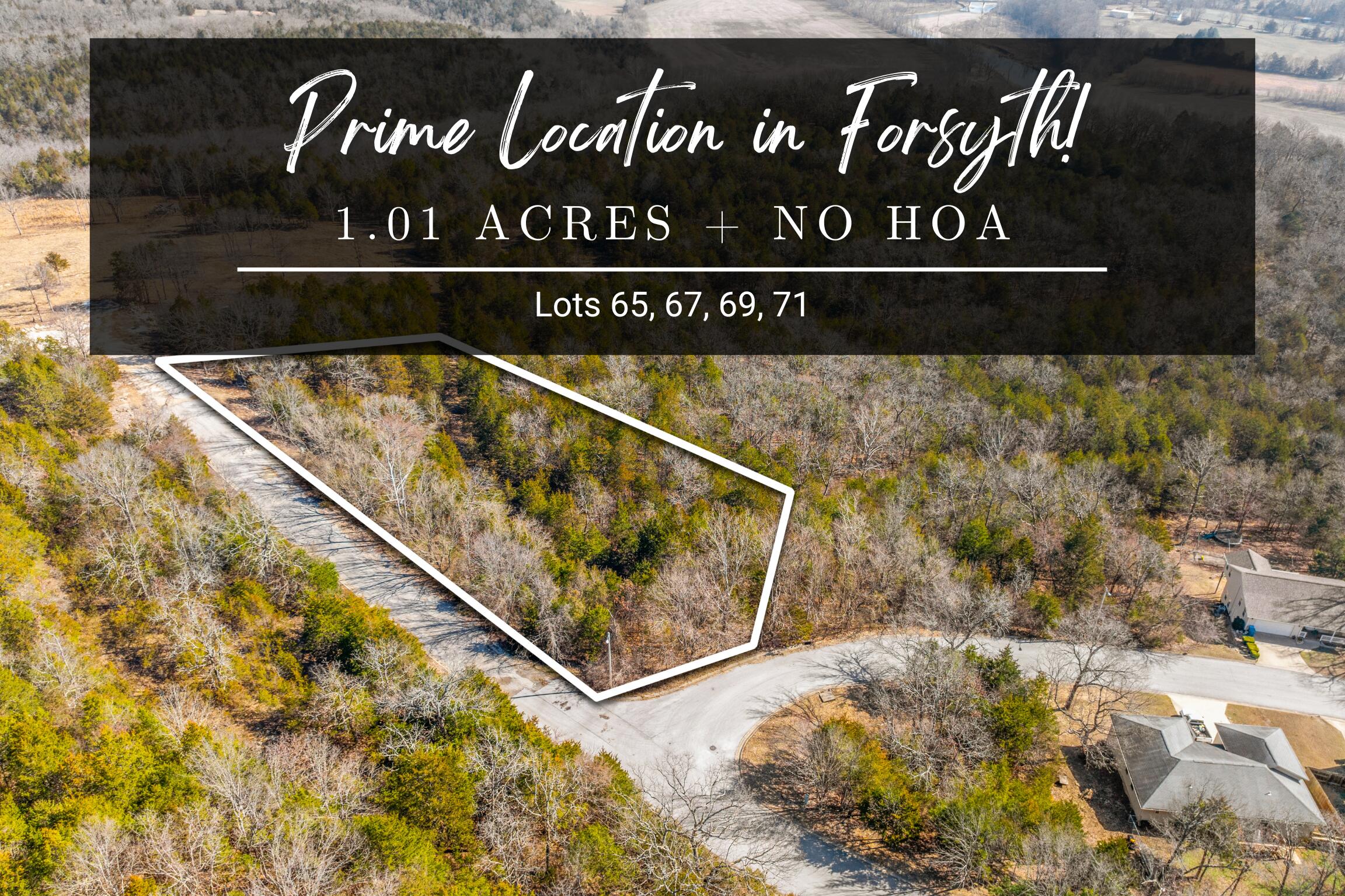 Lots 65 Property Photo
