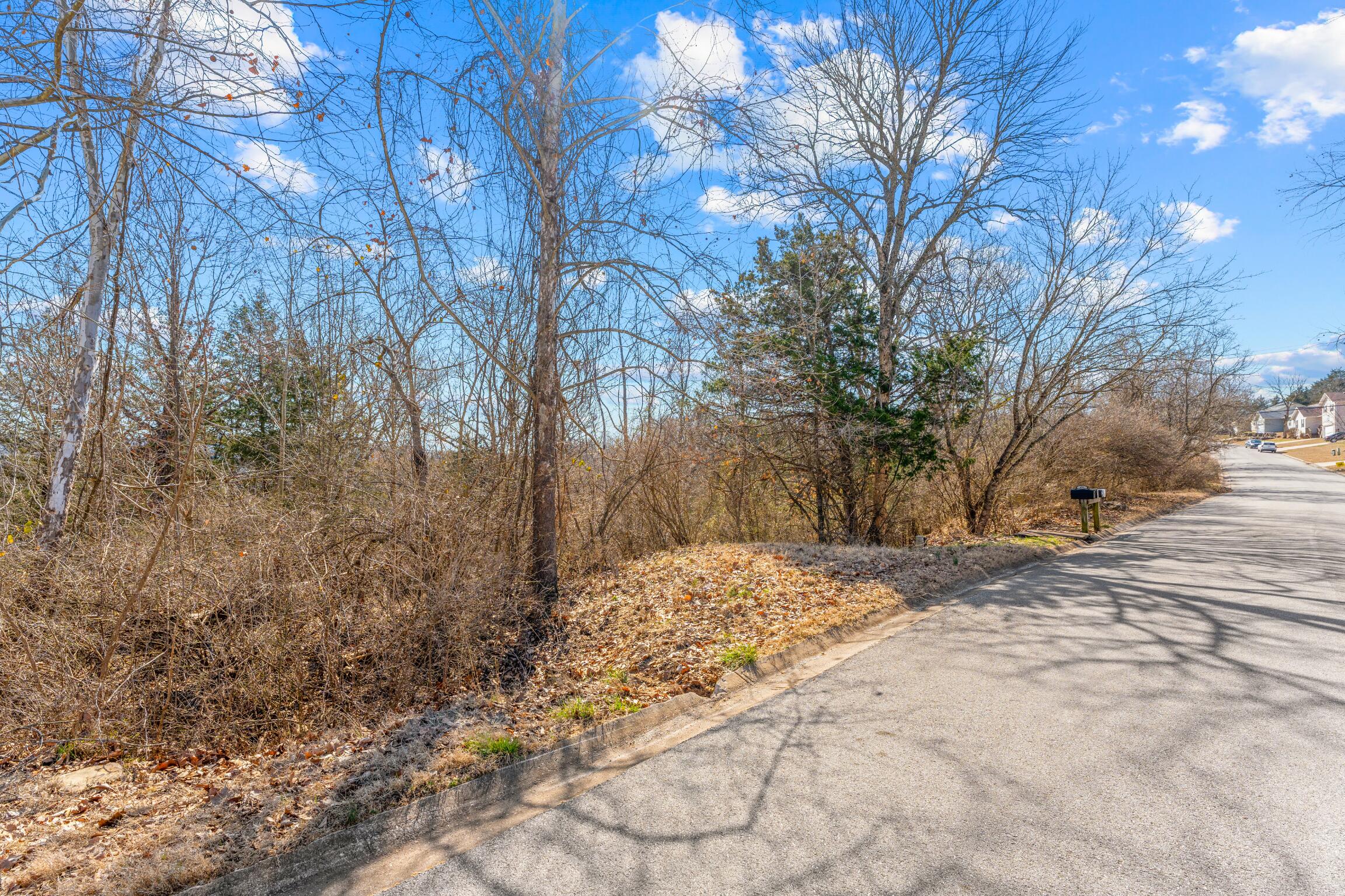 Lot 53 Eagle Drive Property Photo 2