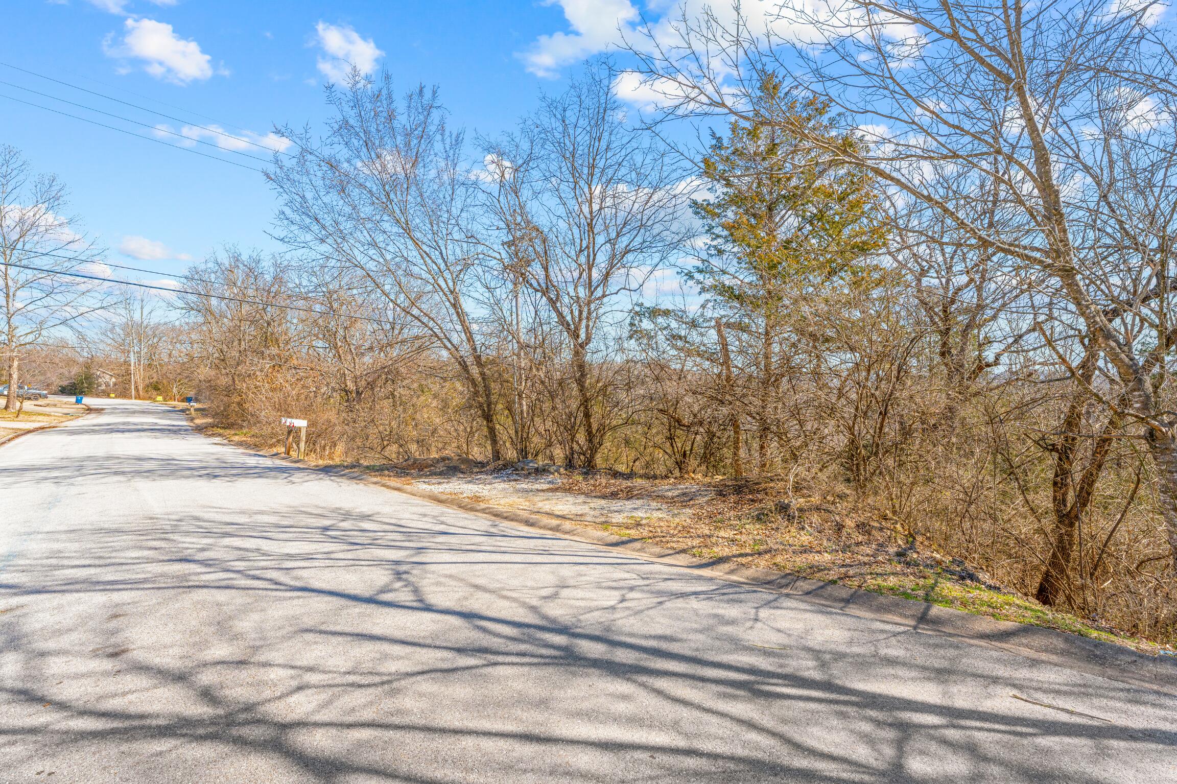 Lot 51 Eagle Drive Property Photo 2