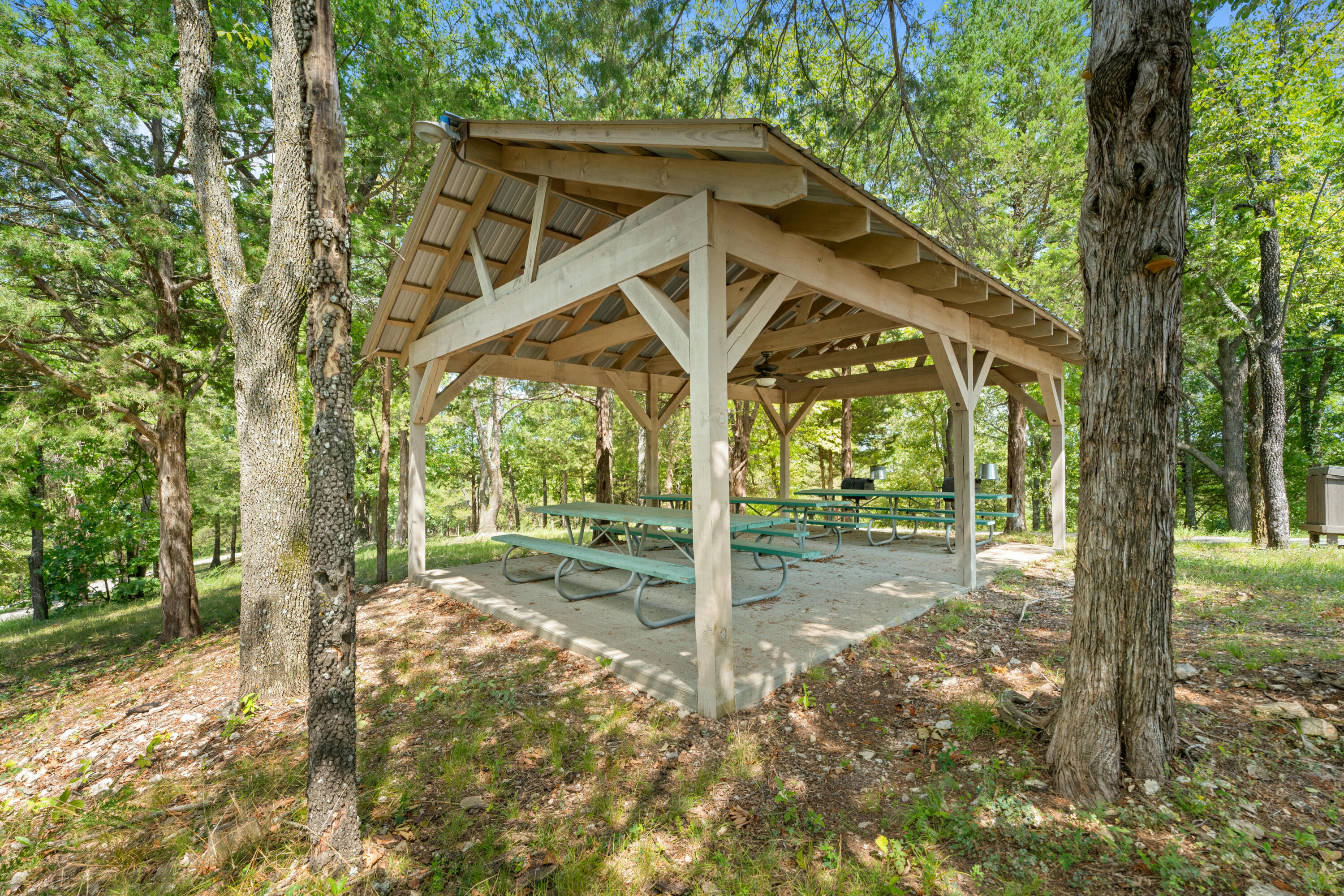 235 Ozark Mountain Resort Drive Property Photo 34