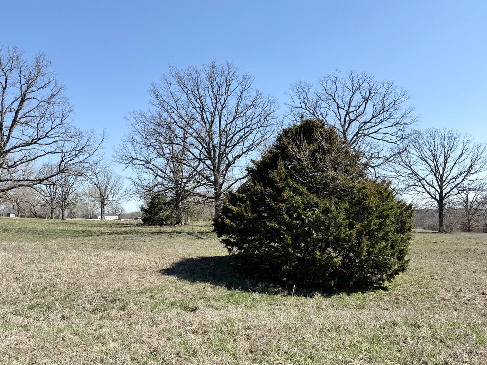 12890 East W Highway Property Photo 30