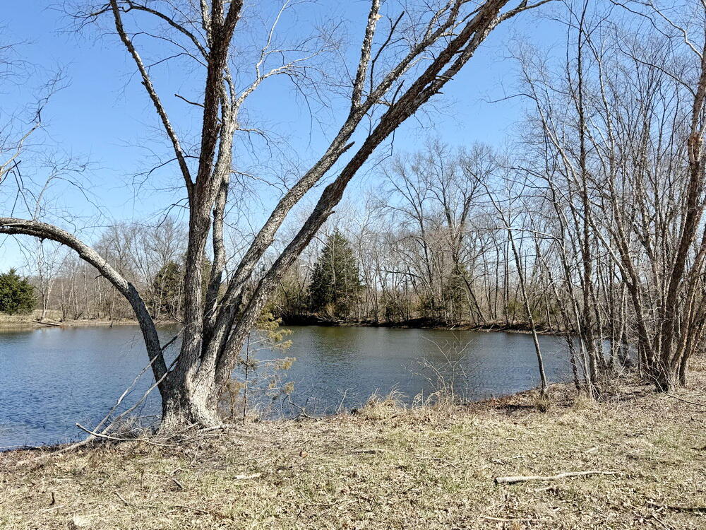 12890 East W Highway Property Photo 35