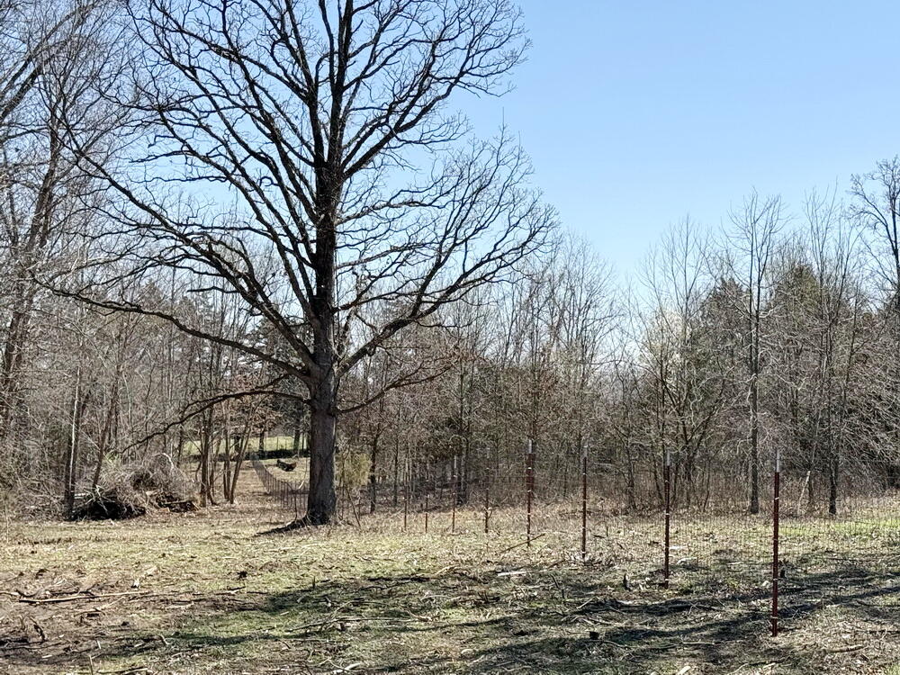 12890 East W Highway Property Photo 36