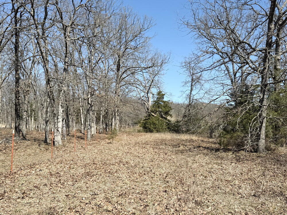 12890 East W Highway Property Photo 38