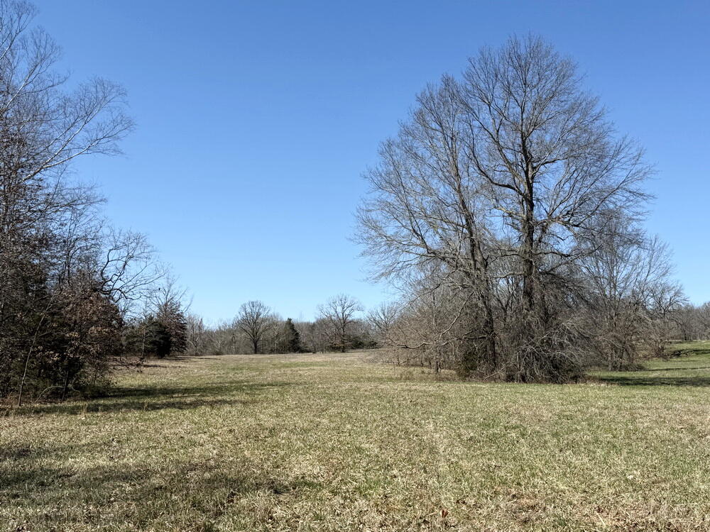 12890 East W Highway Property Photo 40