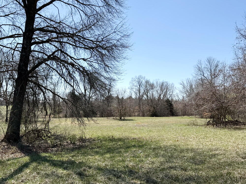 12890 East W Highway Property Photo 41