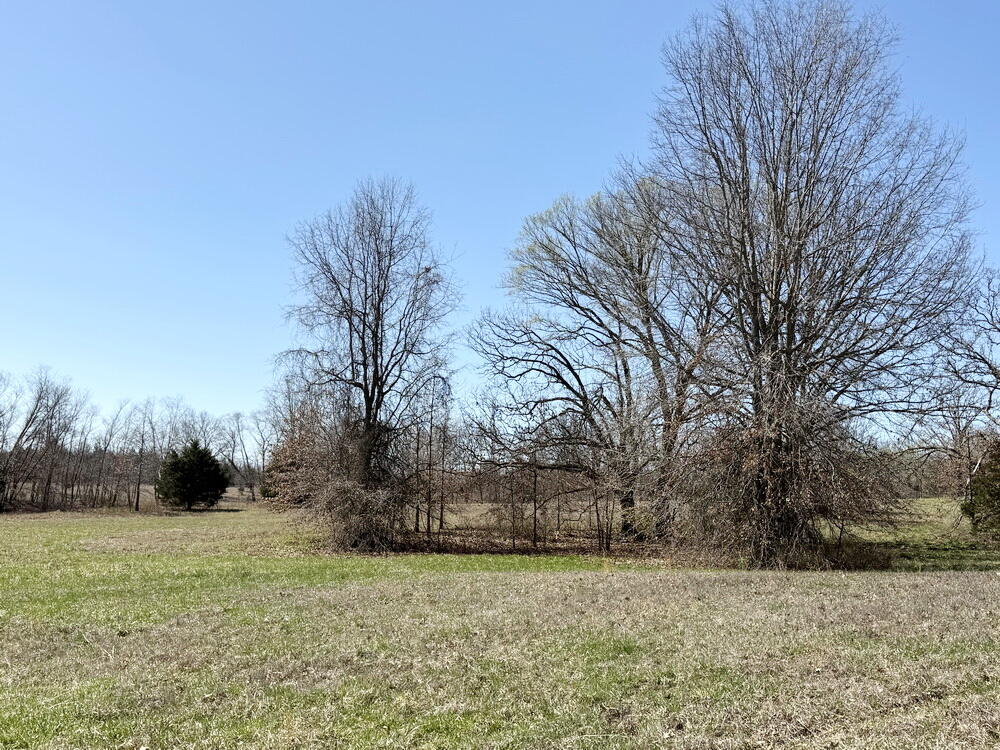 12890 East W Highway Property Photo 42