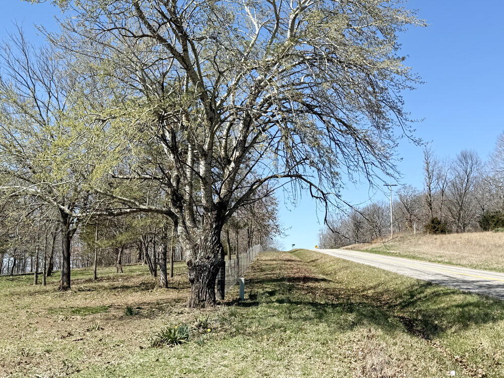 12890 East W Highway Property Photo 43