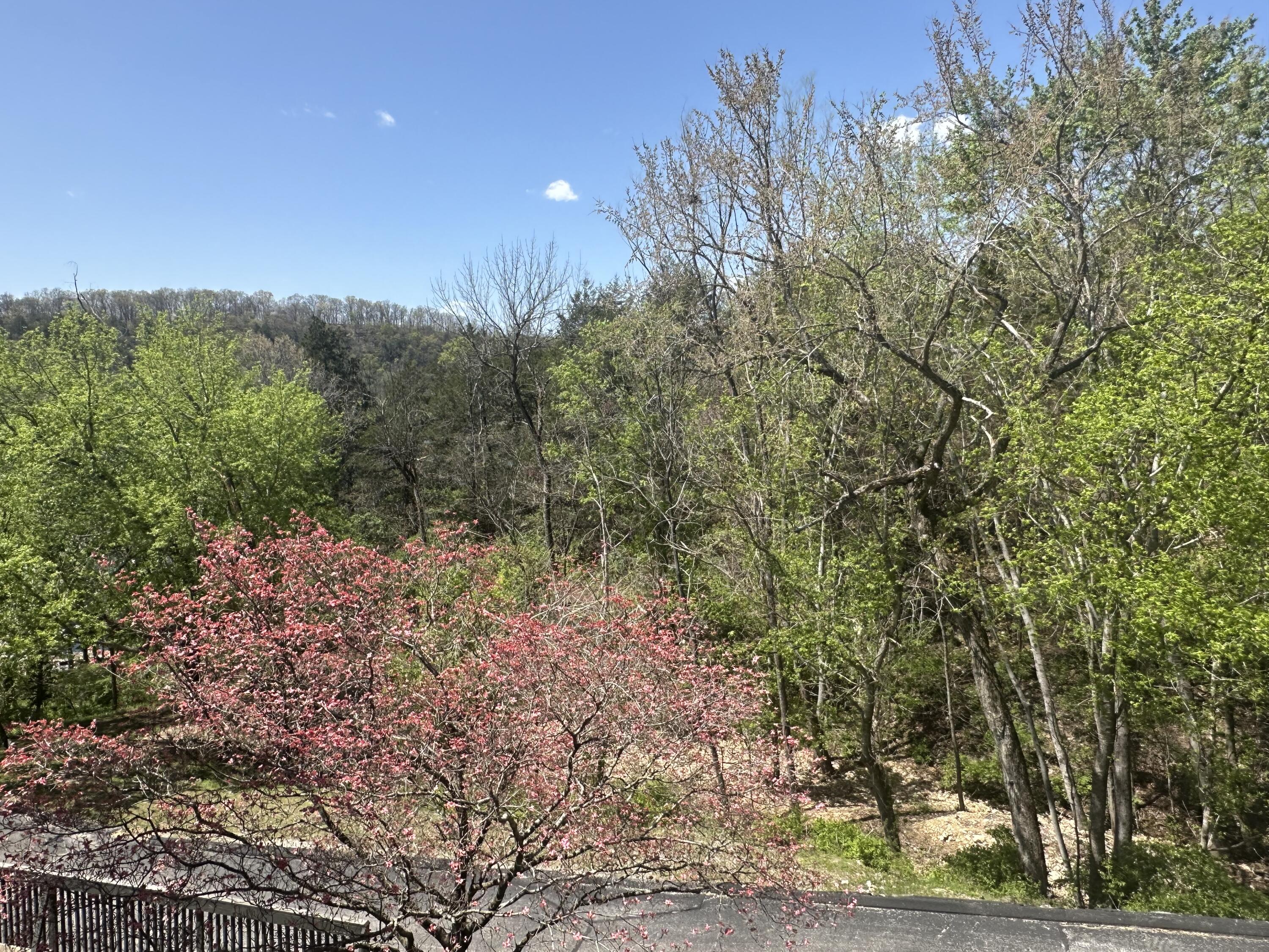 150 Sunken Forest Drive Property Photo 32