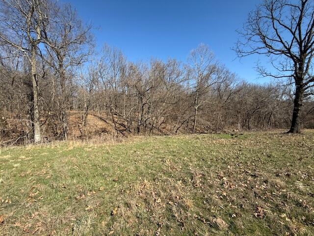 000 Tract 5 Sugar Fork Road Property Photo 9