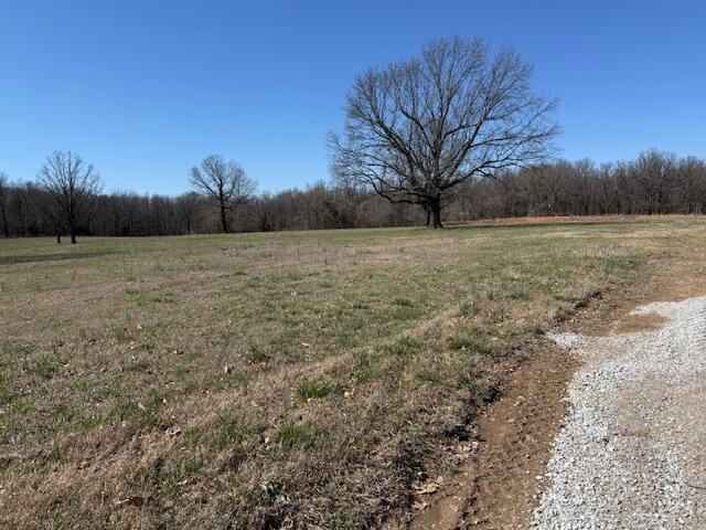 000 Tract 6 Sugar Fork Road Property Photo 3