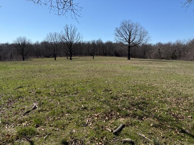 000 Tract 6 Sugar Fork Road Property Photo 4