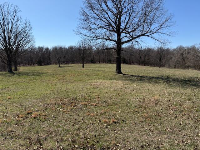 000 Tract 6 Sugar Fork Road Property Photo 7