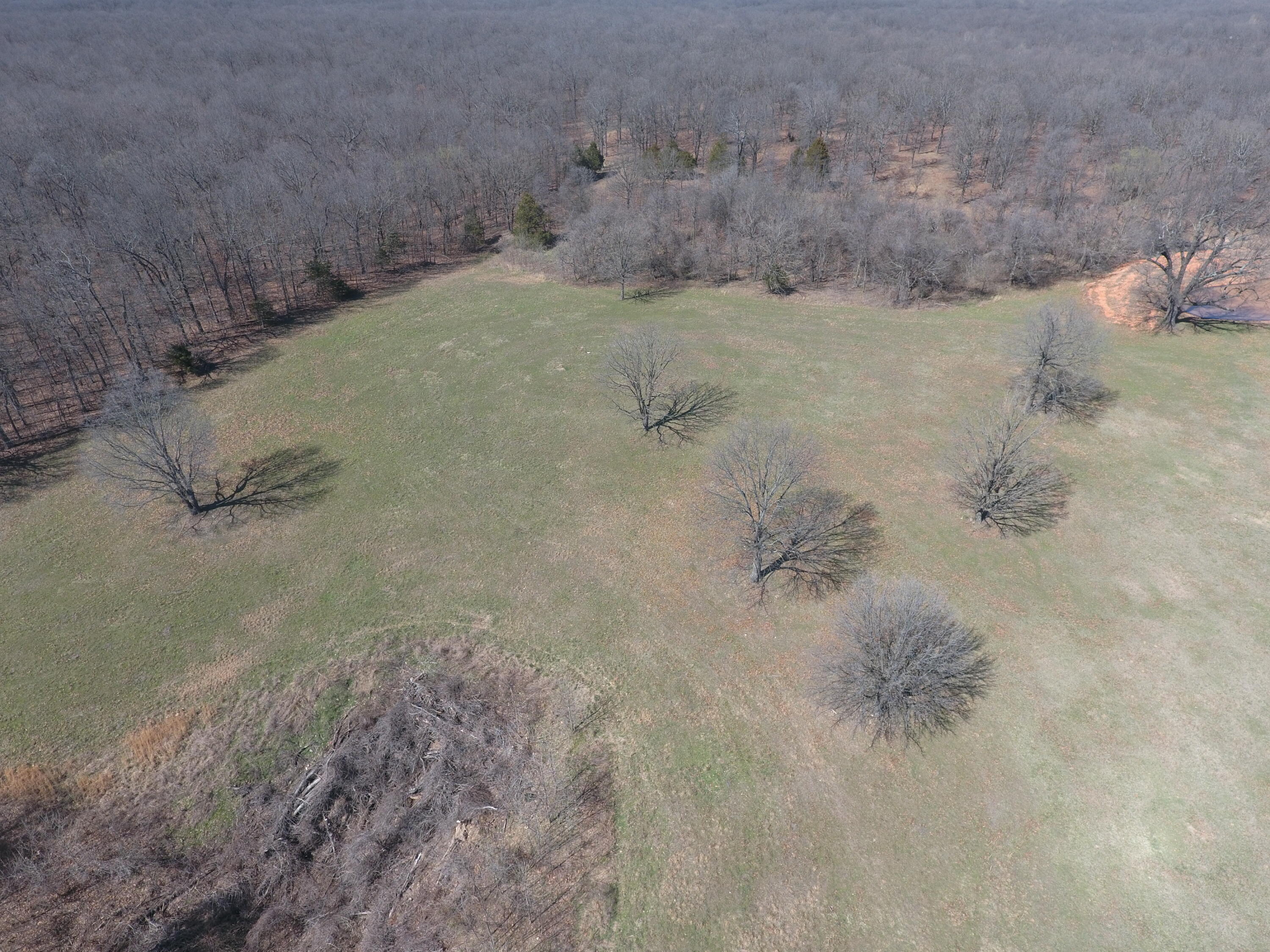 000 Tract 6 Sugar Fork Road Property Photo 10