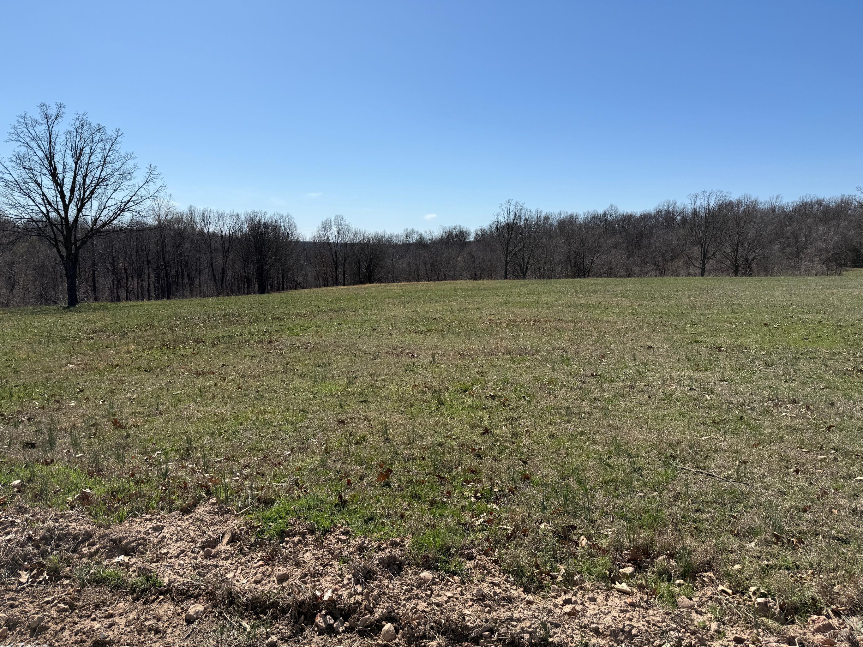 000 Tract 7 Sugar Fork Property Photo 3