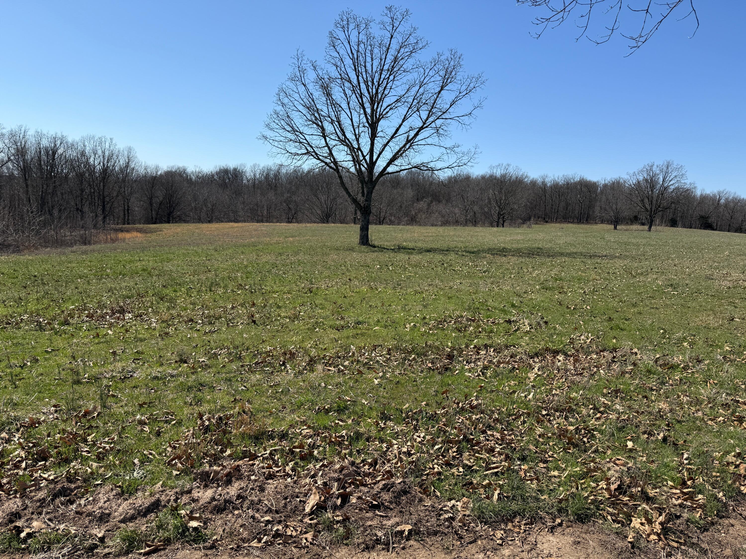 000 Tract 7 Sugar Fork Property Photo 6