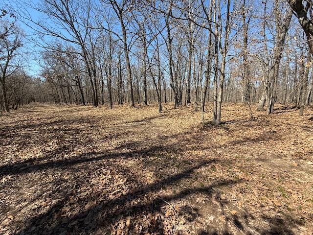 000 Tract 8 Sugar Fork Road Property Photo 3