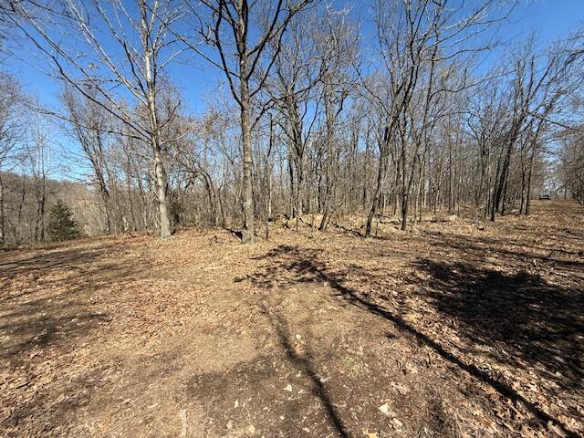 000 Tract 8 Sugar Fork Road Property Photo 4