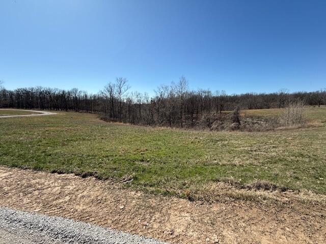 000 Tract 8 Sugar Fork Road Property Photo 5