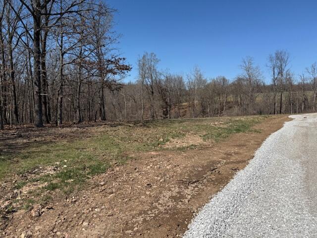 000 Tract 8 Sugar Fork Road Property Photo 6
