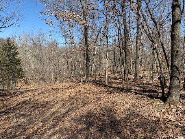 000 Tract 8 Sugar Fork Road Property Photo 7