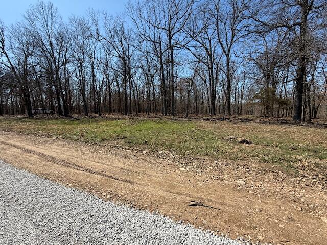 000 Tract 8 Sugar Fork Road Property Photo 9