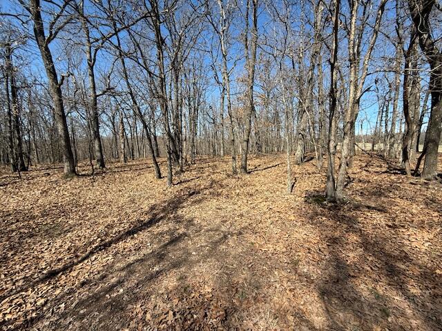 000 Tract 8 Sugar Fork Road Property Photo 10