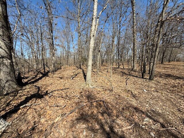 000 Tract 8 Sugar Fork Road Property Photo 11